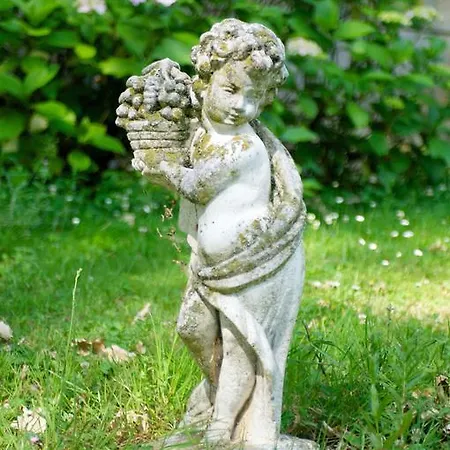 Guest house Chateau De Dournes *