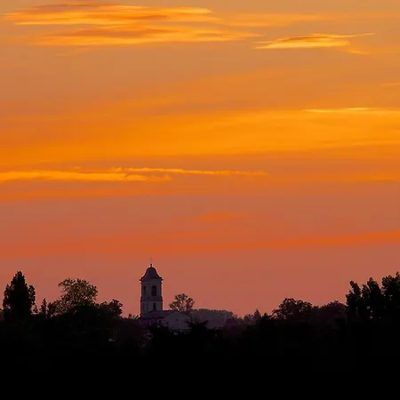 Chateau De Dournes * Blan