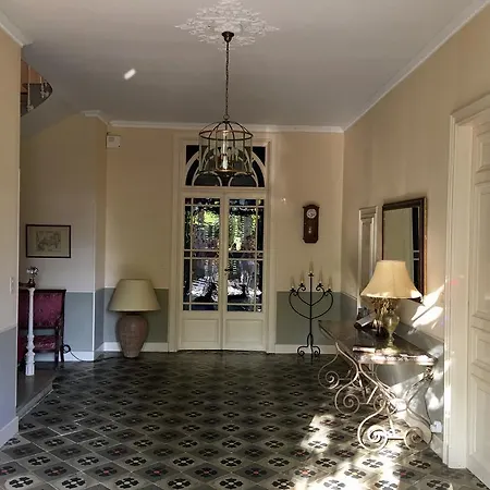 Chateau De Dournes Guest house Blan