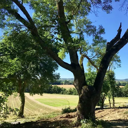 Chateau De Dournes Blan